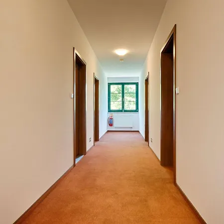 238