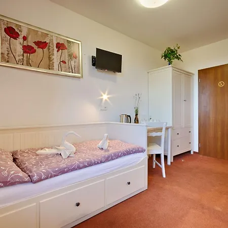 238 Guest house Smolovy
