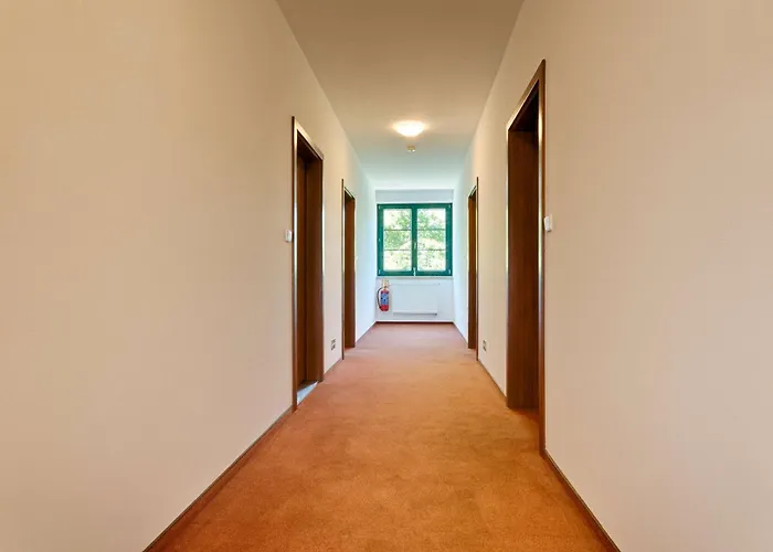 238